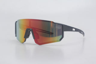 REVOX Day2Go Aero-Brille