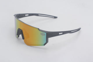REVOX Day2Go Aero-Brille